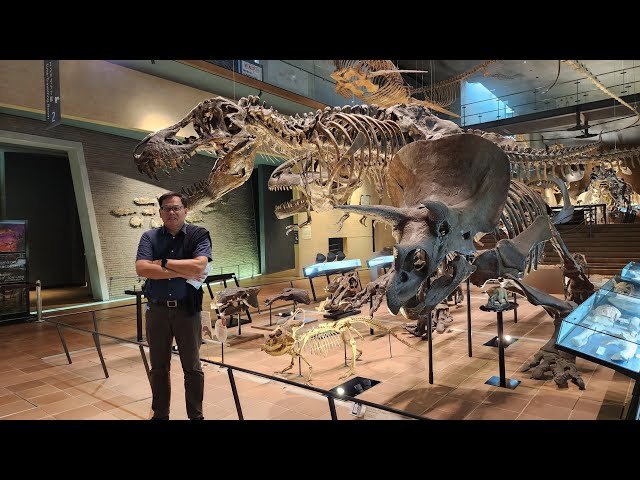 🏛️ 기타큐슈 시립 생명의 여행 박물관(키타큐슈 시리츠 이노치노타비 하쿠부츠칸) 이미지 9